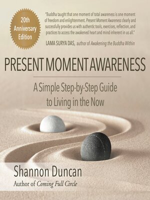 cover image of Present Moment Awareness